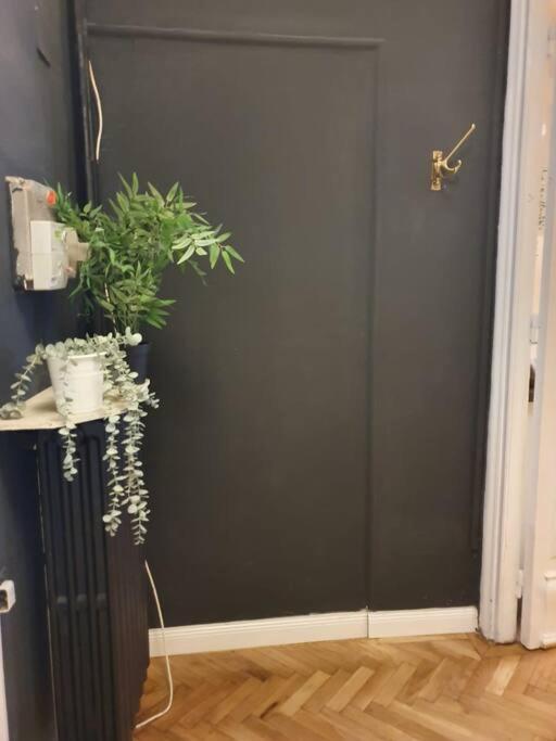 Beautifully Design Near Corvin Plaza Apartment *
